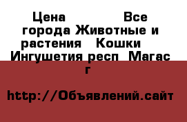 Zolton › Цена ­ 30 000 - Все города Животные и растения » Кошки   . Ингушетия респ.,Магас г.
